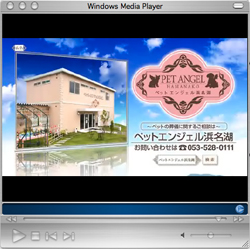 prvideo